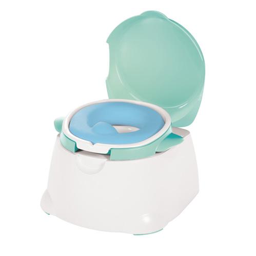 Potty Seat and Potty Chair